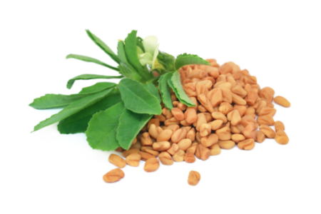 Fenugreek