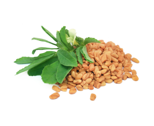 Fenugreek