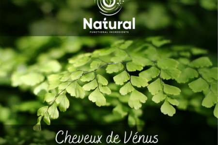 Les Cheveux de Vénus