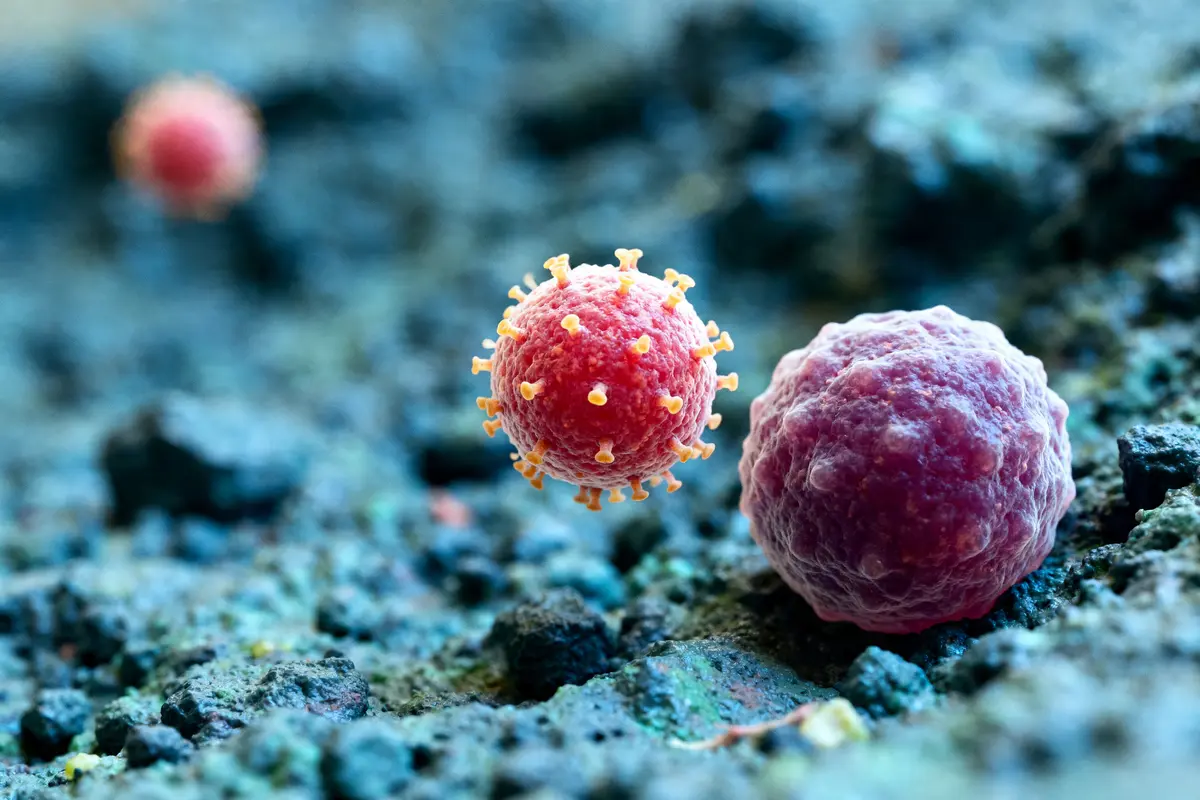 L’évolution du microbiote intestinal au cours de la vie : Clés et impact